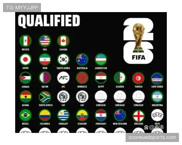 2026世界杯东道主历史淘汰赛成绩对比
